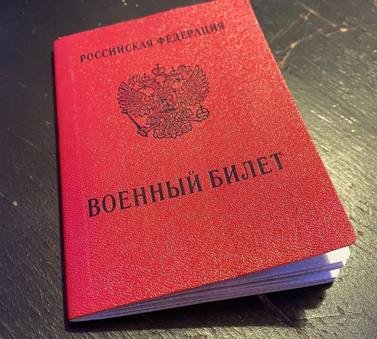 Егор Ковальчук возглавил призывную комиссию Брянской области