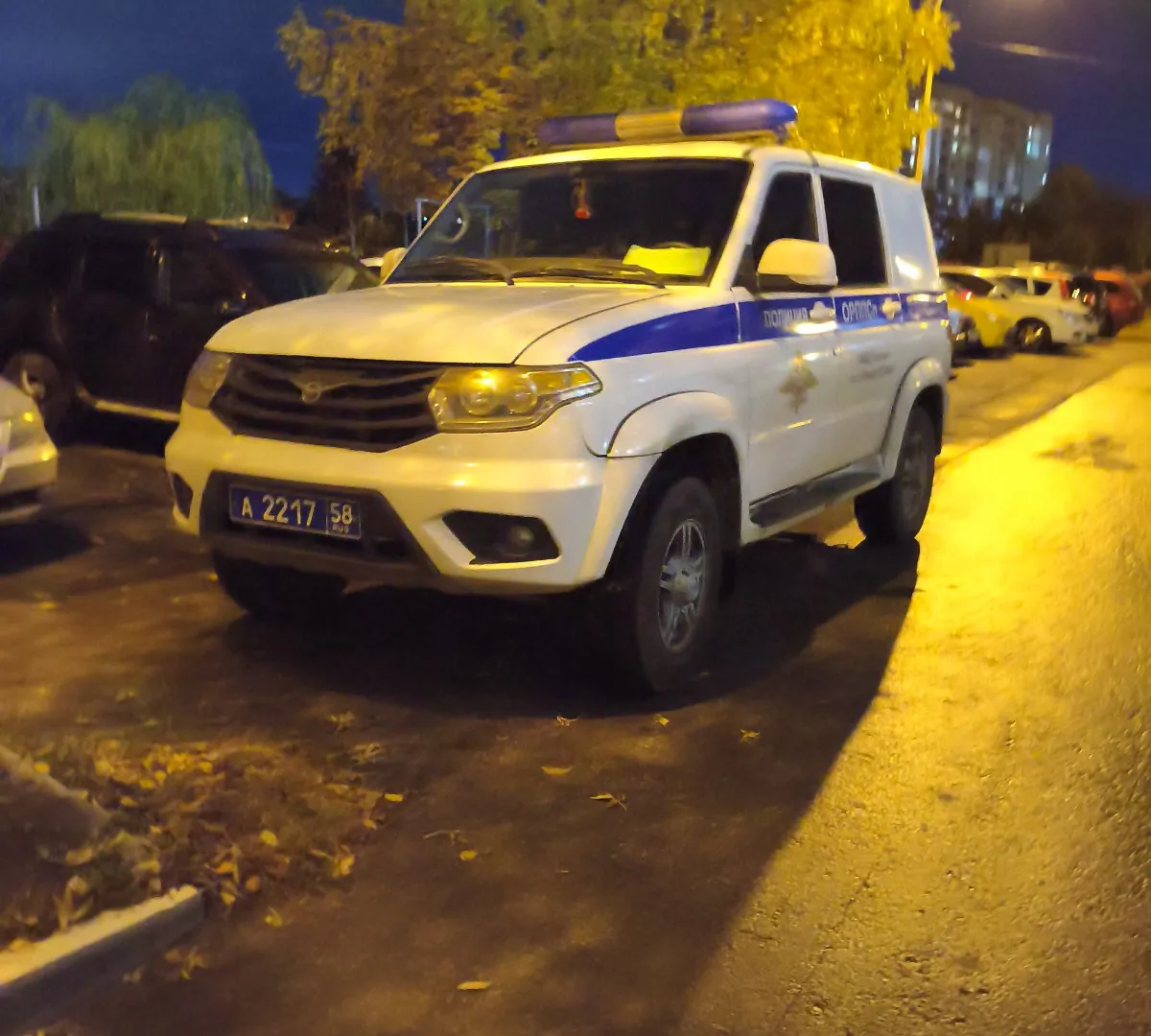 В Брянской области полиция выявила десятки нарушений в ходе операции «Надзор»