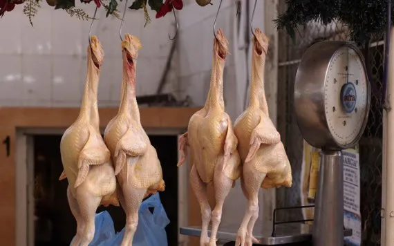 Казахстан забраковал заражённое брянское мясо