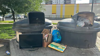 В Брянске жителей предупредили о штрафах за ветки и траву возле мусорных контейнеров