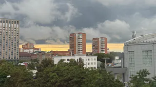 Брянскую область накроют «огуречные» дожди