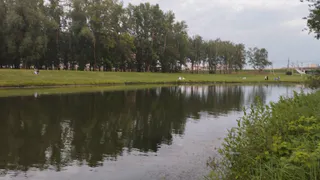 Знойные +29 и «барабанная дробь» дождя: погода готовит Брянску сюрприз на День России