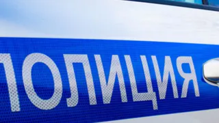 В Брянской области женщину осудили за организацию незаконного въезда иностранцев