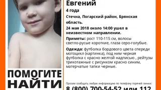 Чиновники рассказали о семье погибшего под Брянском 4-летнего ребёнка