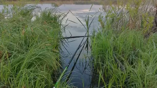 Рыбалка в Карачаевском районе закончилась уголовным делом для браконьера