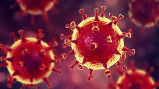 У вернувшейся из ОАЭ жительницы Брянска диагностировали коронавирус
