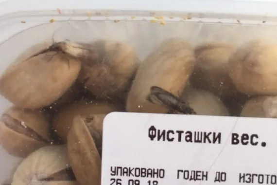 В Стародубе продают фисташки с жуками