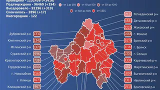 17 брянцев умерли от коронавируса за сутки