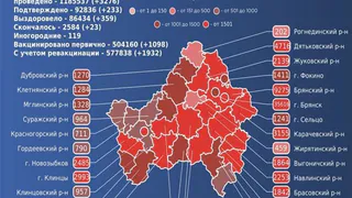 От коронавируса за сутки умерли 23 брянца