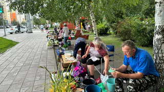 В Брянске ярмарки выходного дня продолжили работать во всех районах города
