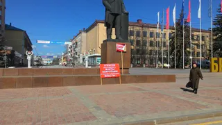 В Брянске прошел одиночный пикет портив коррупции