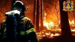 В Брянской области за сутки было зарегистрировано 81 пожар