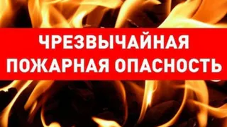 В Брянске объявлена чрезвычайная пожароопасность