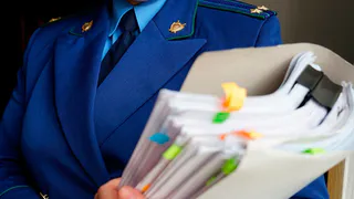 В Брянской области прокуратура проверит приют для животных после жалоб в соцсетях