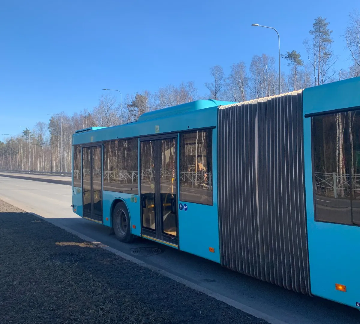 В Брянске до 2030 года планируют закупить почти 200 новых автобусов