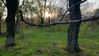 В новых микрорайонах Брянска появятся новые скверы и велодорожки