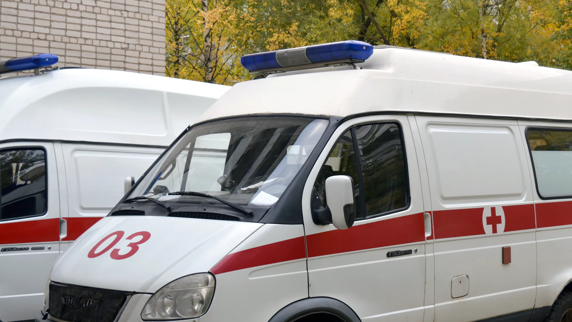 Бастрыкин потребовал доклад о смертях новорождённых в Брянском перинатальном центре