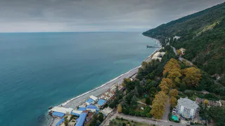 Не Сочи и не Турция: дикие пляжи, эвкалипты и полная тишина — райский уголок, который скрывают
