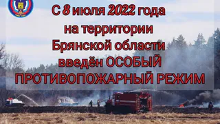 На Брянщине введён противопожарный  режим
