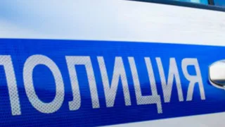 В Брянской области сократилось число разбоев, вымогательств и тяжких преступлений