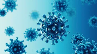 В Брянской области за сутки было подтверждено 90 случаев Covid-19