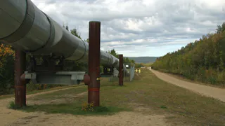 Через Брянск возобновили поставки нефти в Европу по «Дружбе»