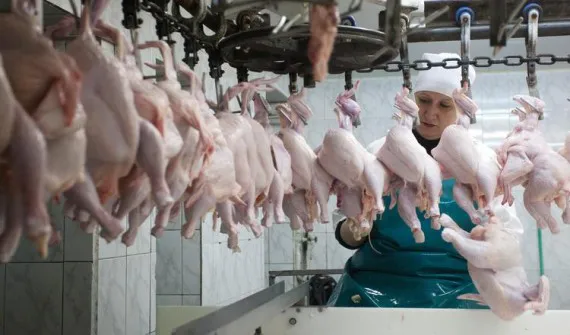Брянские производители мяса планируют поставки в Ирак