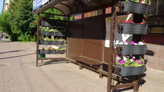 В Брянске зацвели два остановочных павильона