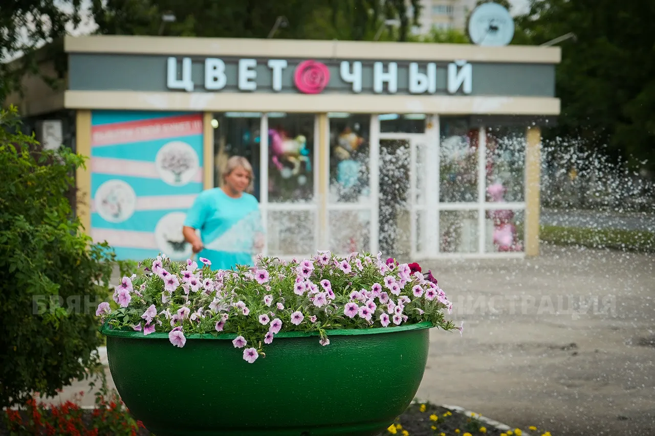 Брянск, готовь куртки: после аномальной жары регион накроет холодный фронт с дождями и сильным ветром