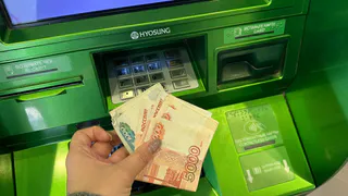 В Брянской области колхоз начал выплачивать сотрудникам свой маткапитал