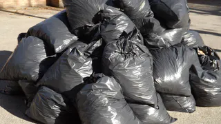 В Брянской области прокуратура через суд потребовала изменить график вывоза мусора с 12 площадок
