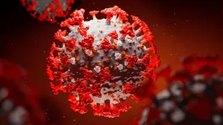 В Брянской области за сутки было подтверждено 81 случаев Covid-19