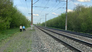 С начала года в Брянской области отгрузка зерна по железной дороге выросла в два раза