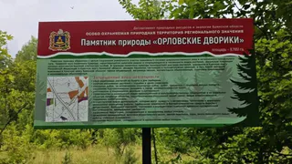 В Брянском районе обозначили границы «Орловских двориков» и юбилейного дендрария