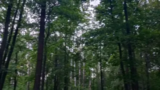 В Брянской области УФАС возбудило дело из-за отказа предоставить землю для добычи ископаемых
