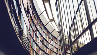 В Локте Брянской области откроют выставку о князе Михаиле Александровиче