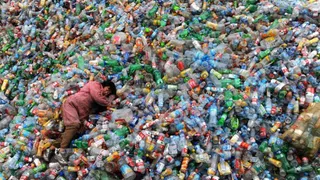 Брянщина превращается в большую свалку