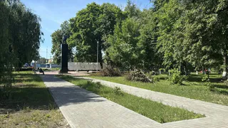 В Брянске спилят 34 ясеня, поражённых изумрудной златкой