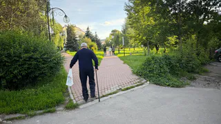 Пенсионерам напомнили о выплатах, которые многие упускают: можно увеличить доход без подработки