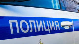 В Брянской области за полгода сократилось число тяжких преступлений