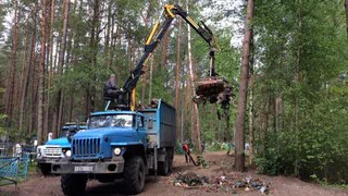 Пордяка 520 кубометров мусора вывезли с кладбищ Брянска с начала года
