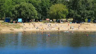 В Брянской области открыли 31 пляж, но часть зон отдыха остаётся закрытой