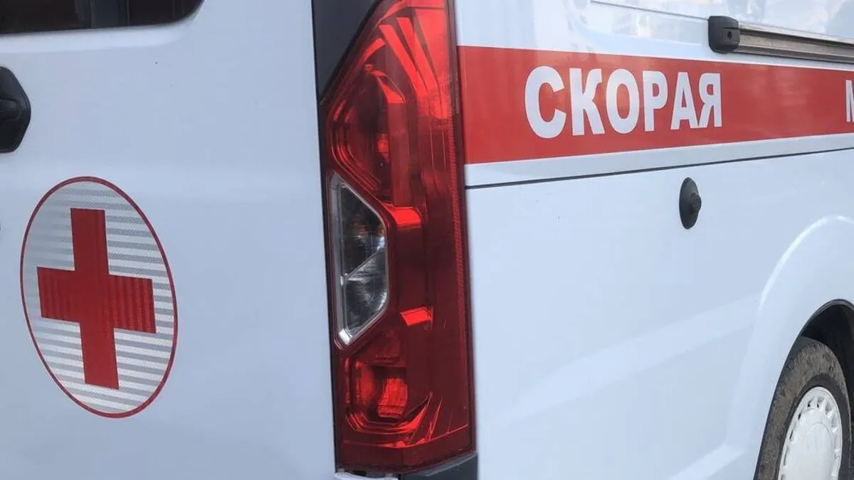 В Стародубском округе Брянской области пассажир Hyundai погиб после ДТП с деревом
