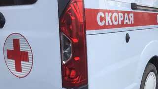 В Стародубском округе Брянской области пассажир Hyundai погиб после ДТП с деревом