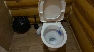 Унитаз в квартире больше не в моде: новый туалетный тренд уже докатился до России