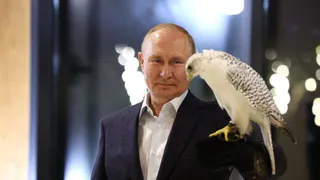 Президенту Российской Федерации Владимиру Путину исполнилось 70 лет