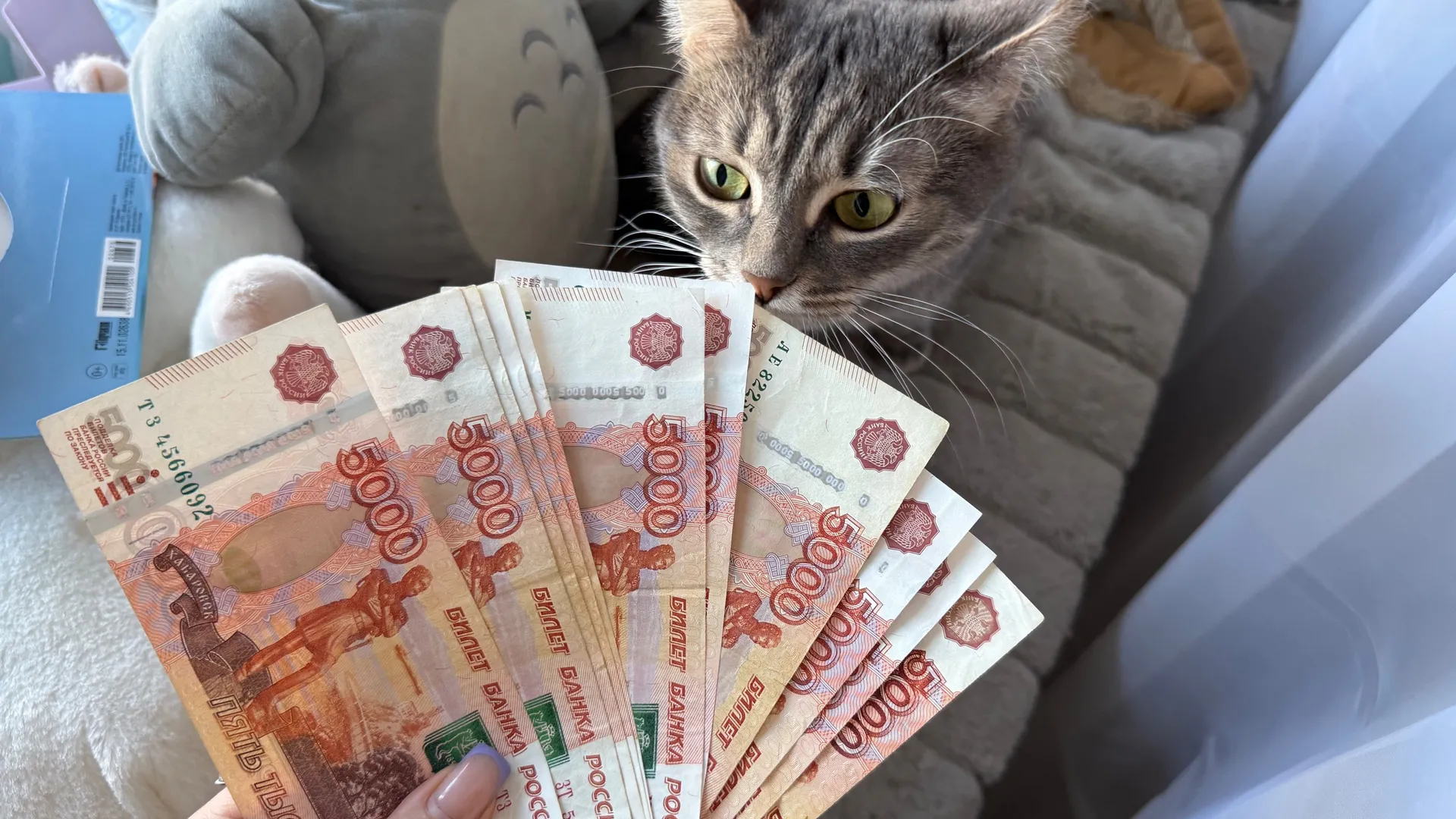 В Брянской области детские пособия за август начнут перечислять с 3 сентября