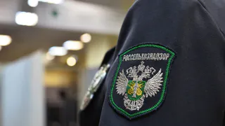 В Брасовском районе ликвидировали свалки