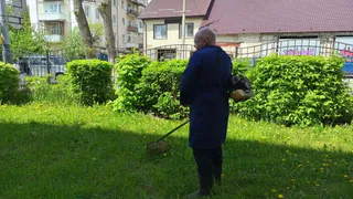 Брянский водитель поставил авто на газон и не дал покосить дорожникам траву