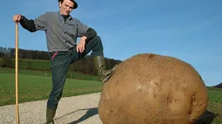 На Брянщине ищут фермеров
